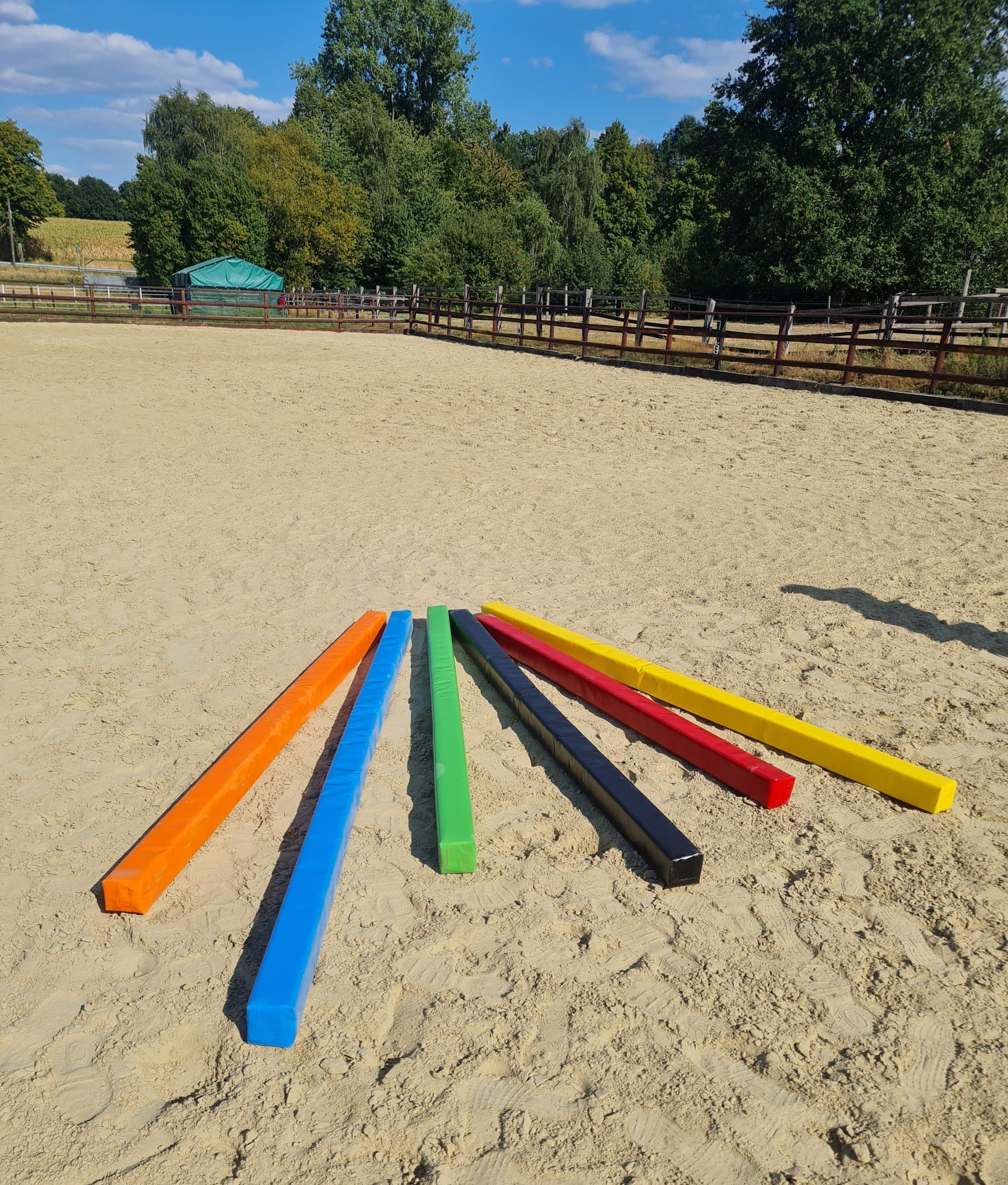 GUBOTEC Flexy Poles